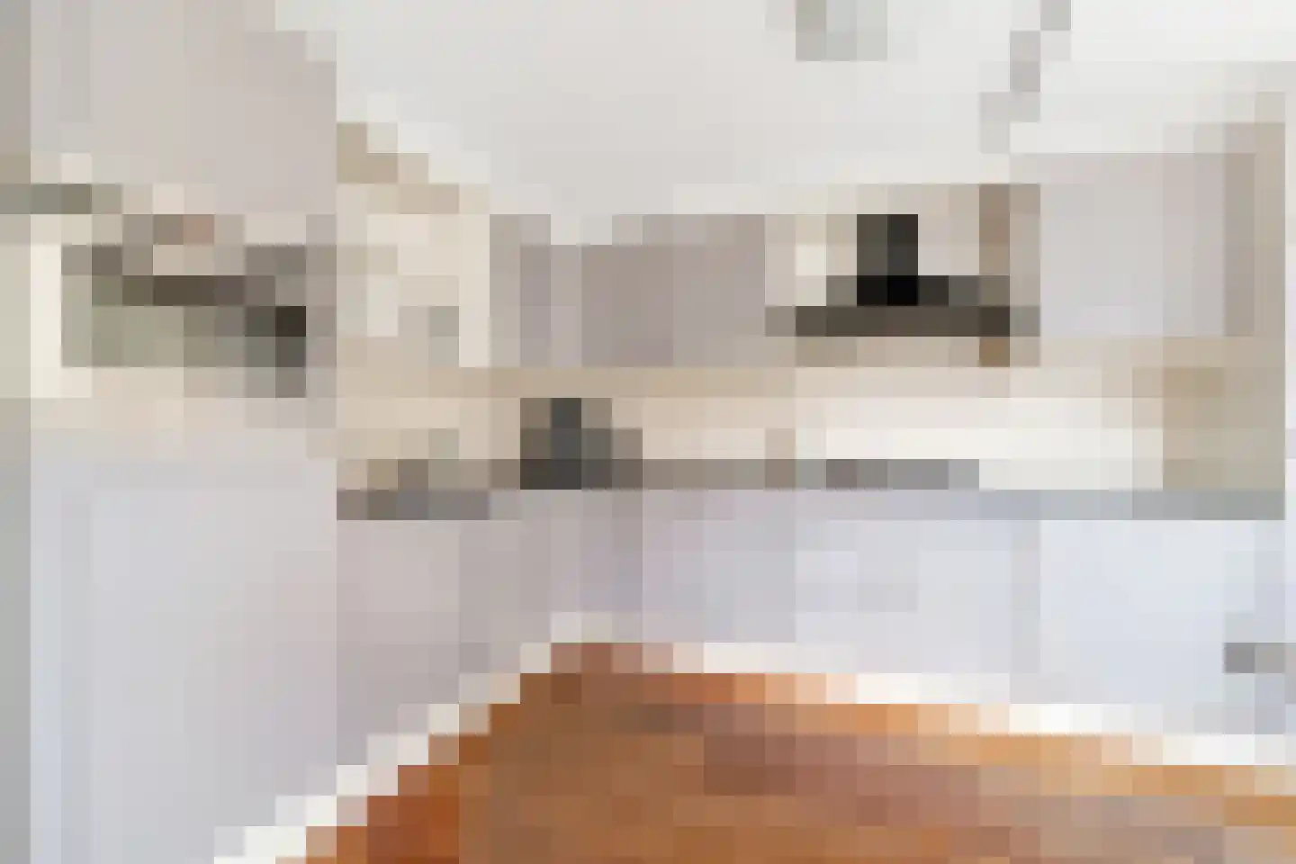 Lepelblad 8 Nijverdal thumbnail 11