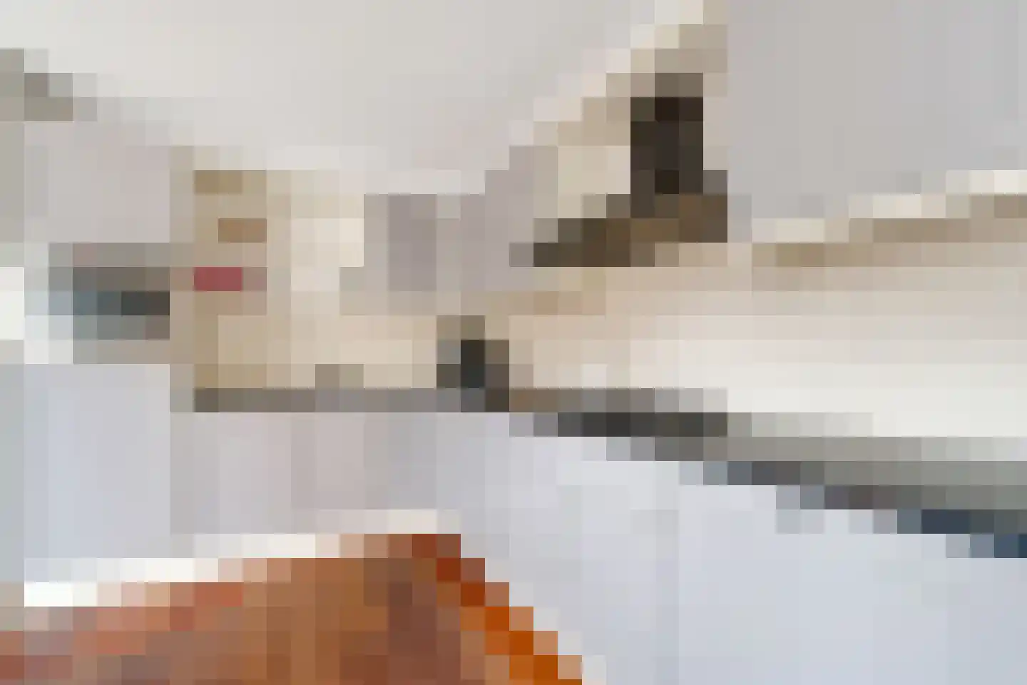 Lepelblad 8 Nijverdal thumbnail 12