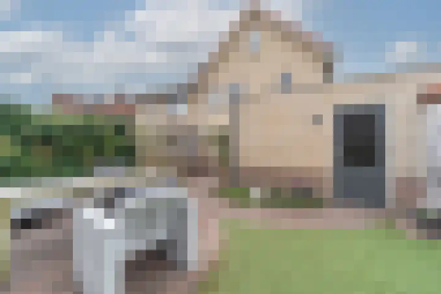 Lepelblad 8 Nijverdal foto 2