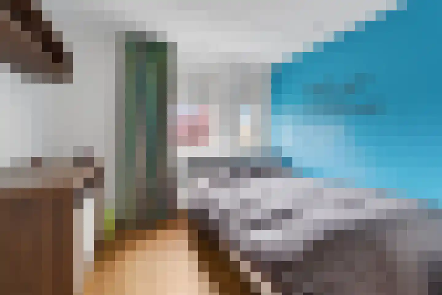 Lepelblad 8 Nijverdal thumbnail 23