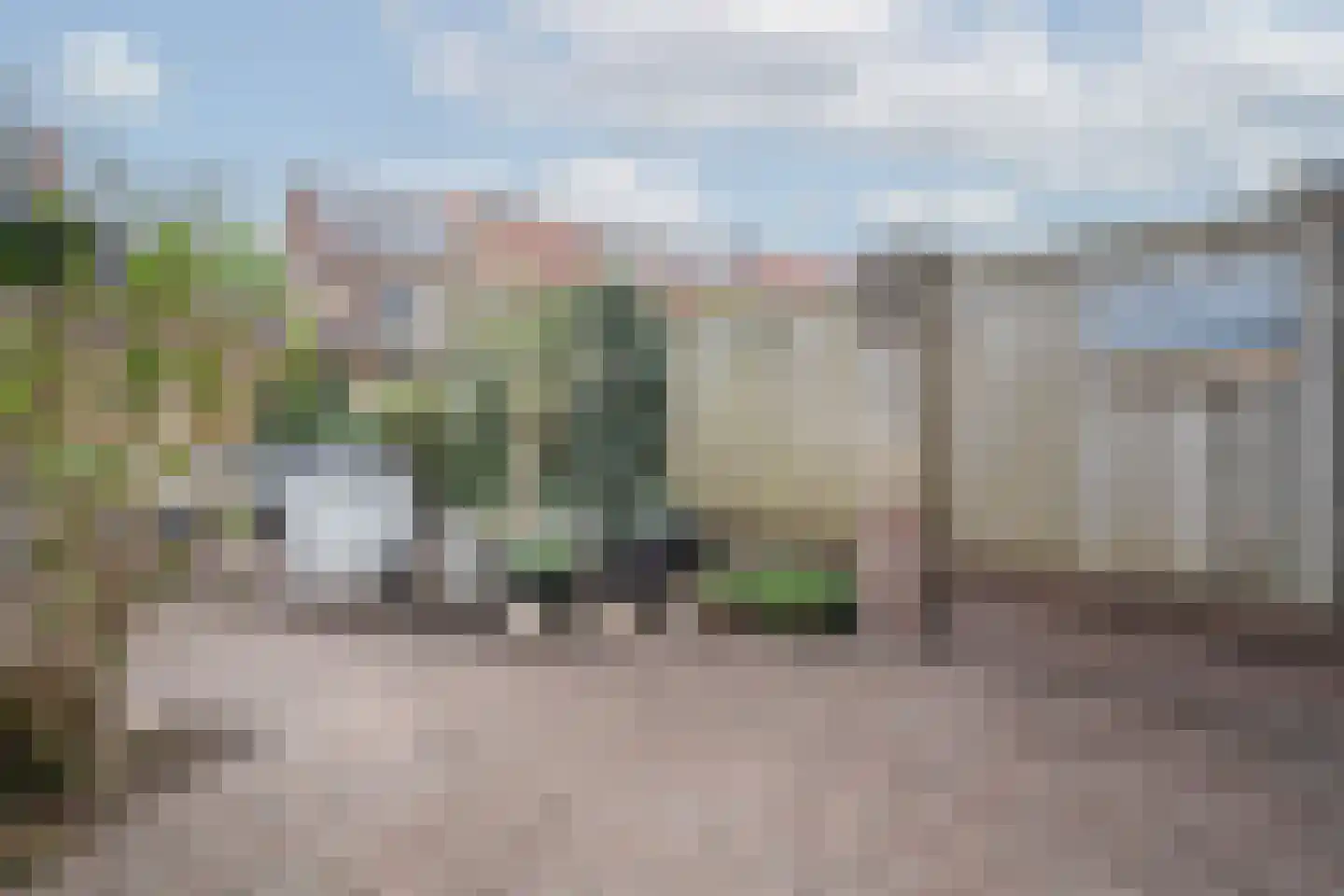 Lepelblad 8 Nijverdal thumbnail 31