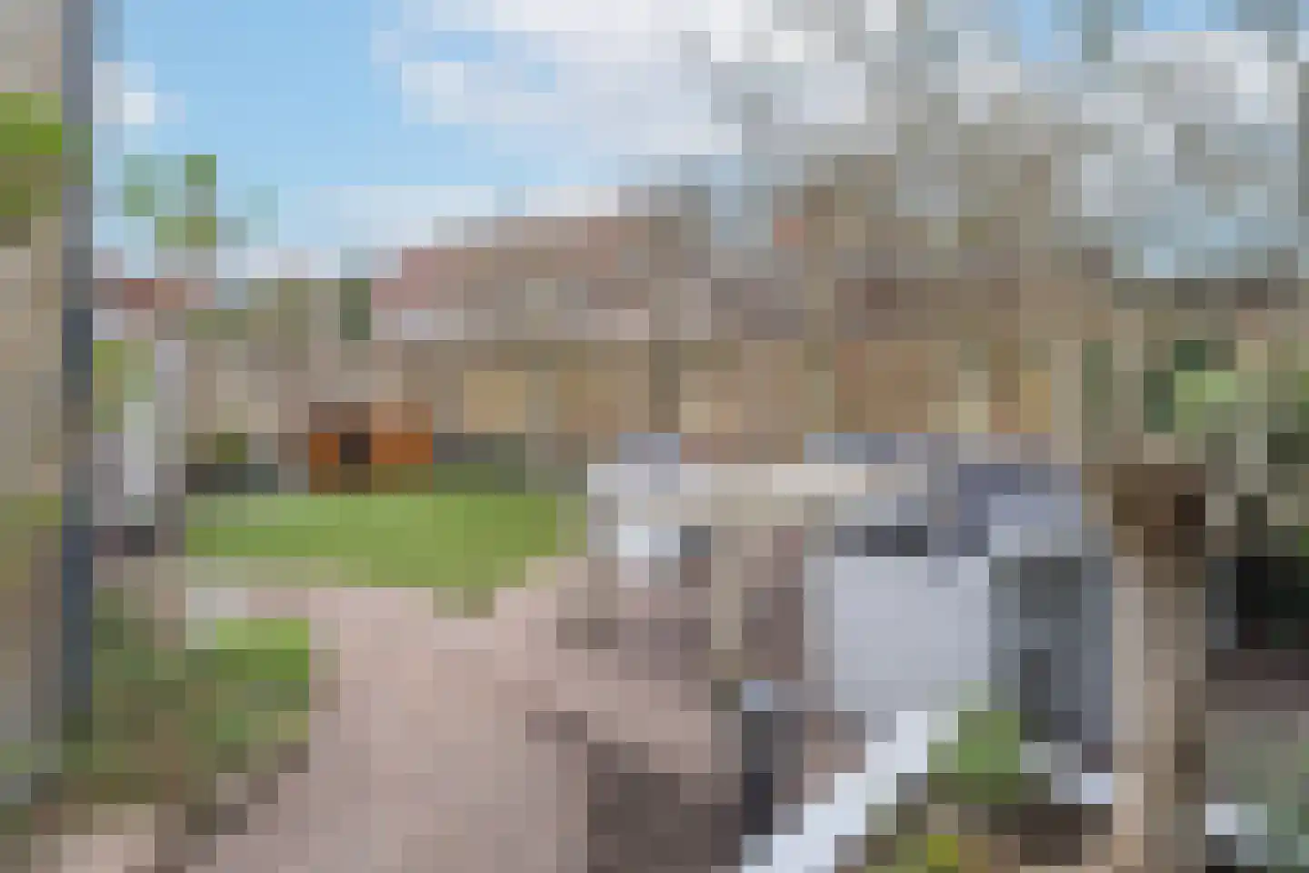 Lepelblad 8 Nijverdal thumbnail 32