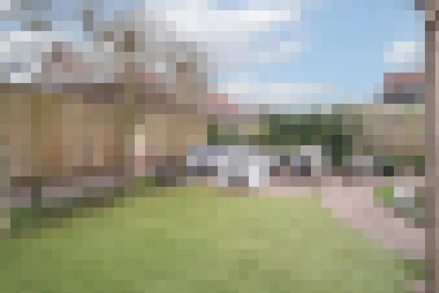 Lepelblad 8 Nijverdal thumbnail 33