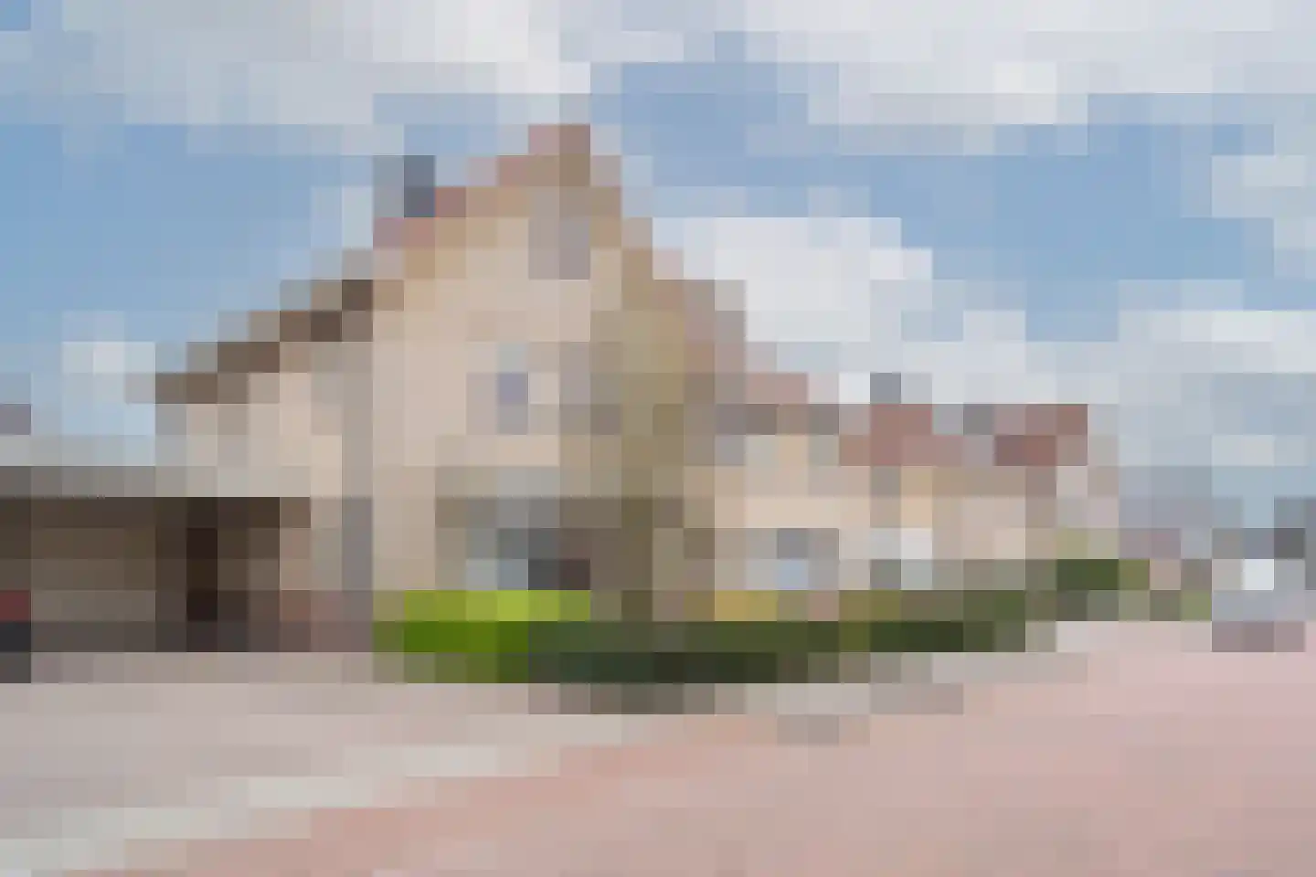 Lepelblad 8 Nijverdal thumbnail 36