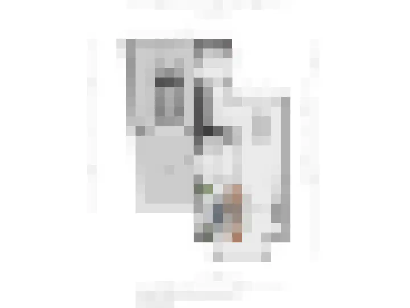 Lepelblad 8 Nijverdal thumbnail 37