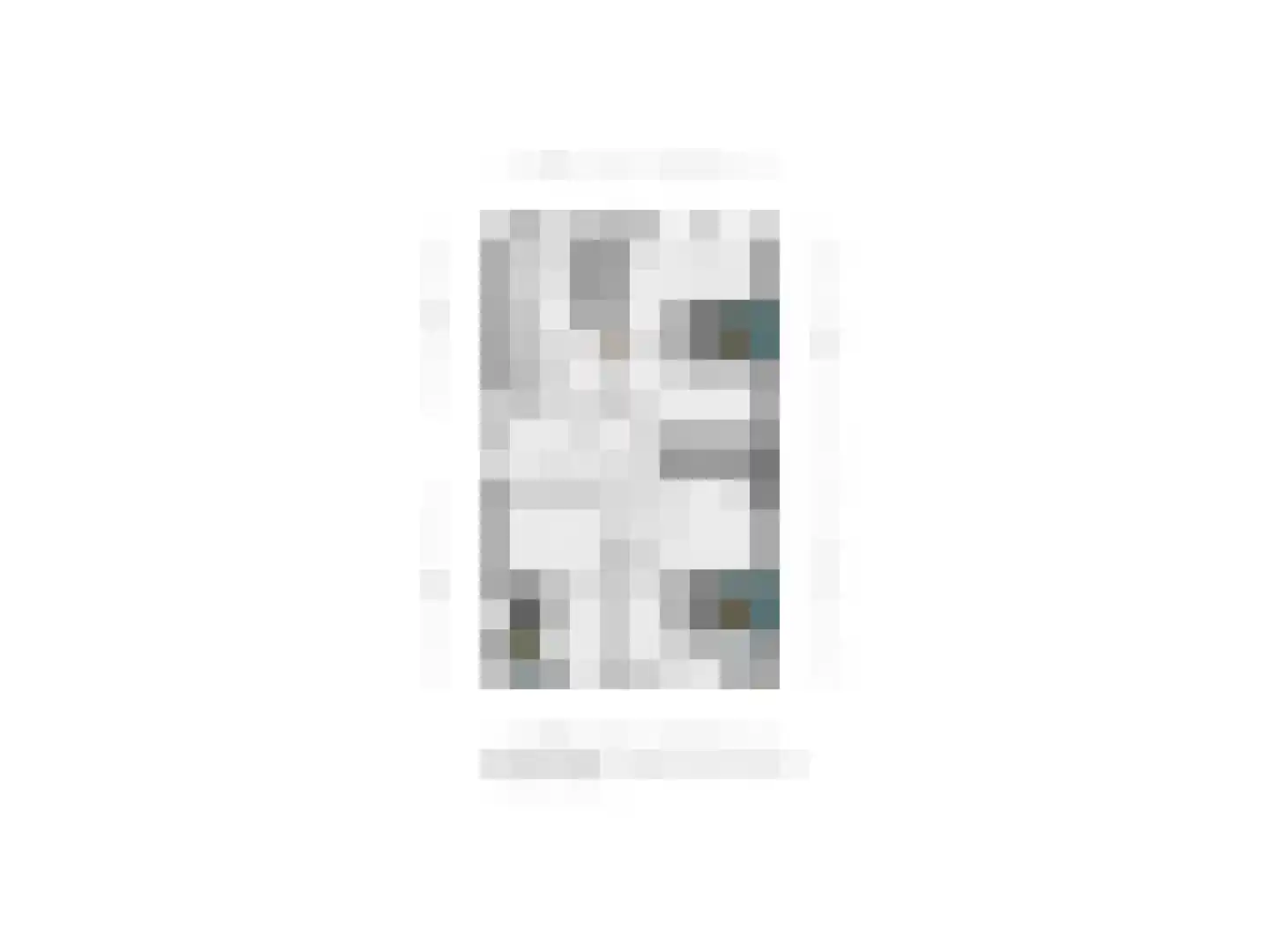 Lepelblad 8 Nijverdal thumbnail 38