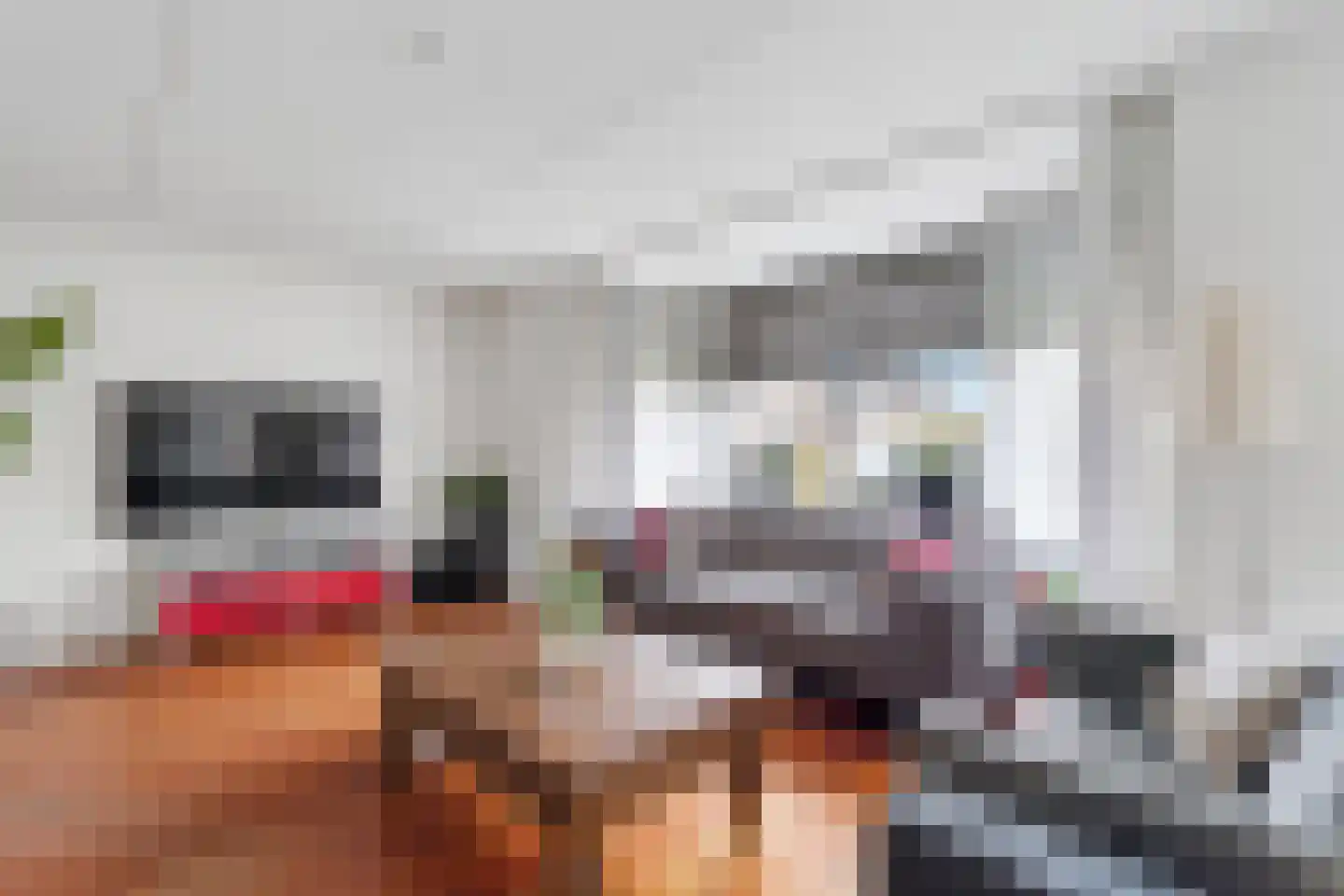 Lepelblad 8 Nijverdal thumbnail 6