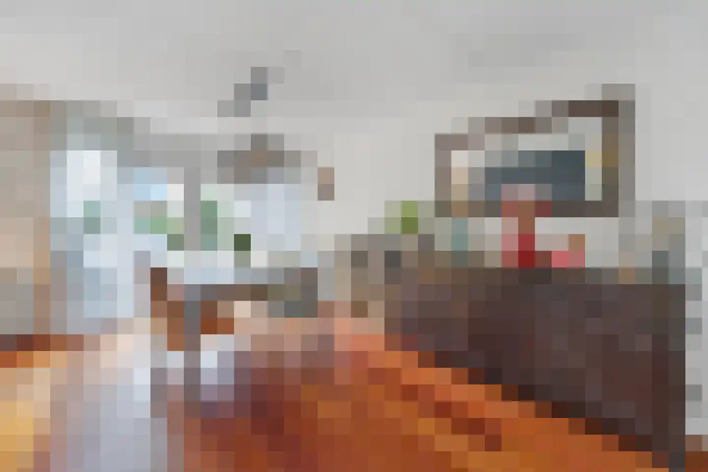 Lepelblad 8 Nijverdal thumbnail 8