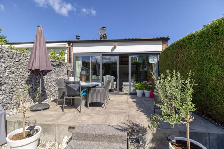 Lepelblad 93 in Nieuwvliet Foto