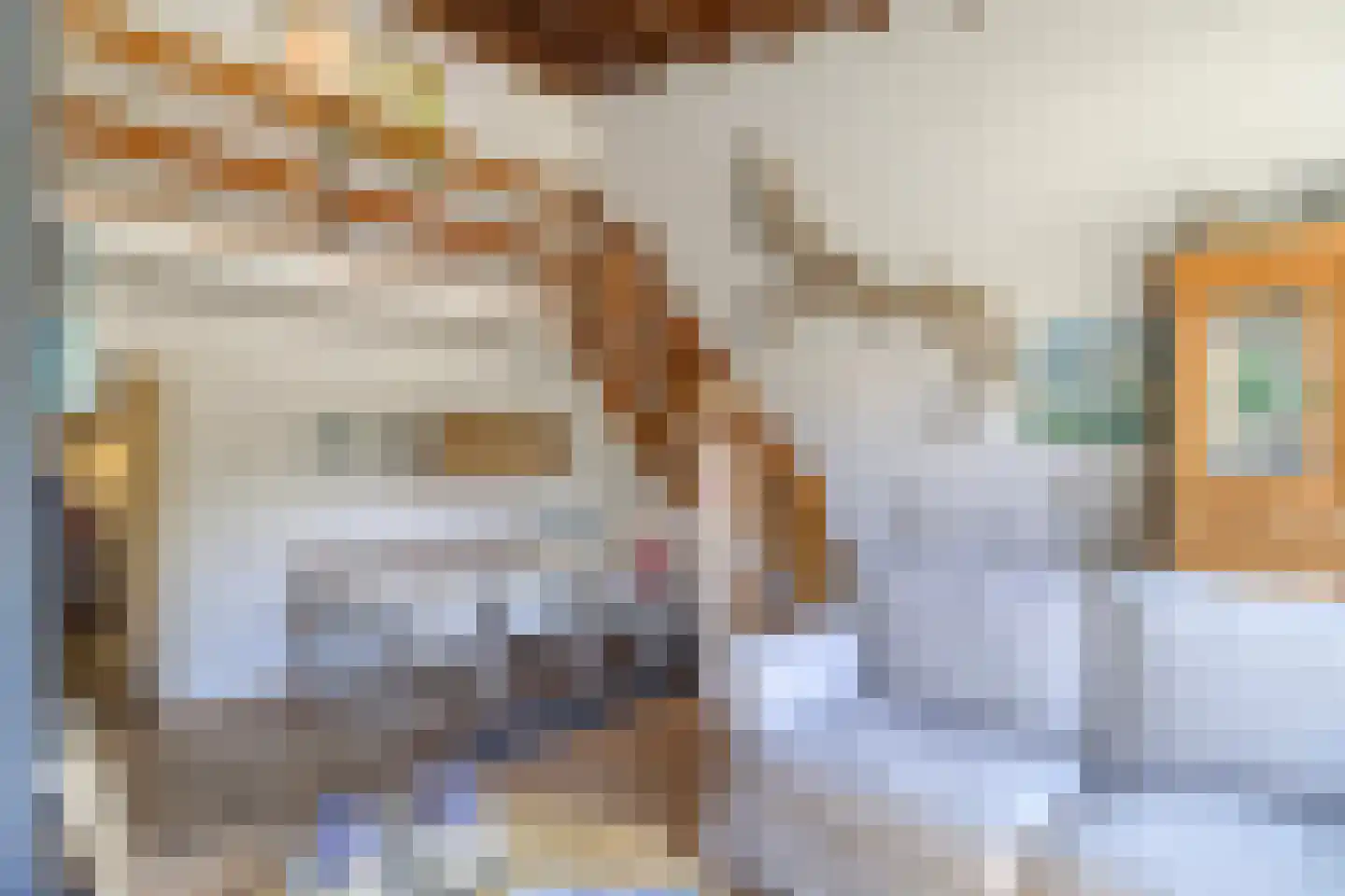 Lepelblad 93 Nieuwvliet thumbnail 10