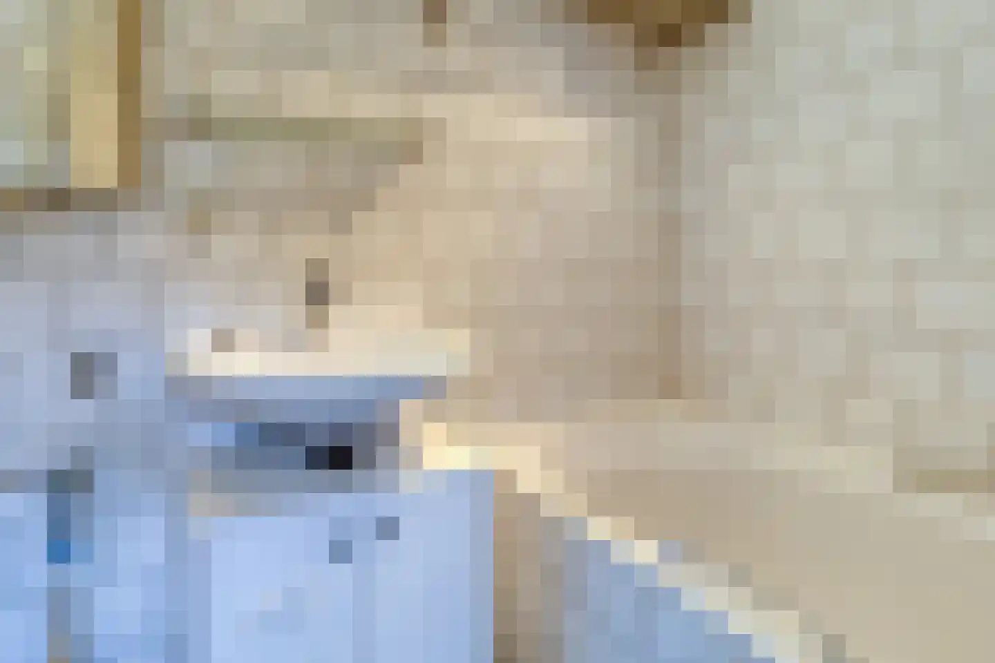 Lepelblad 93 Nieuwvliet thumbnail 16