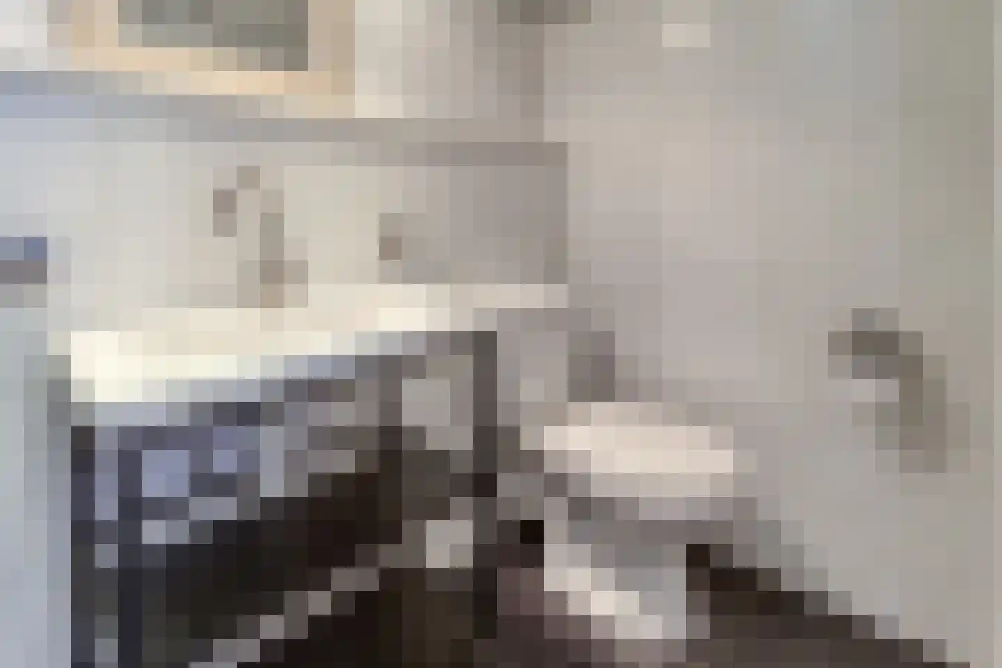 Lepelblad 93 Nieuwvliet thumbnail 18