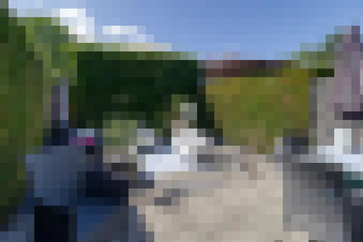 Lepelblad 93 Nieuwvliet thumbnail 30