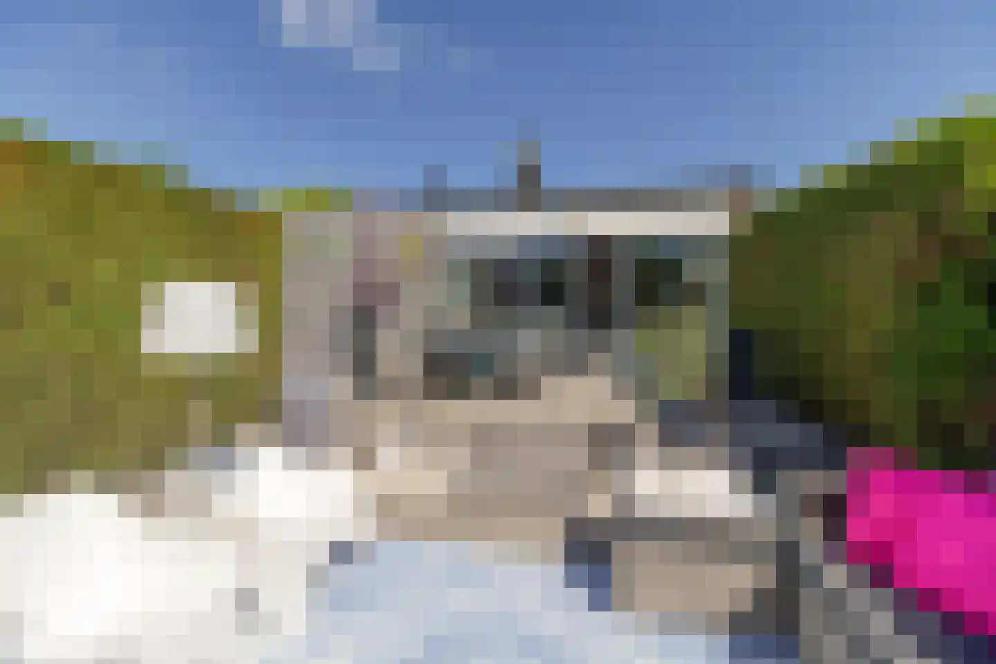 Lepelblad 93 Nieuwvliet thumbnail 31