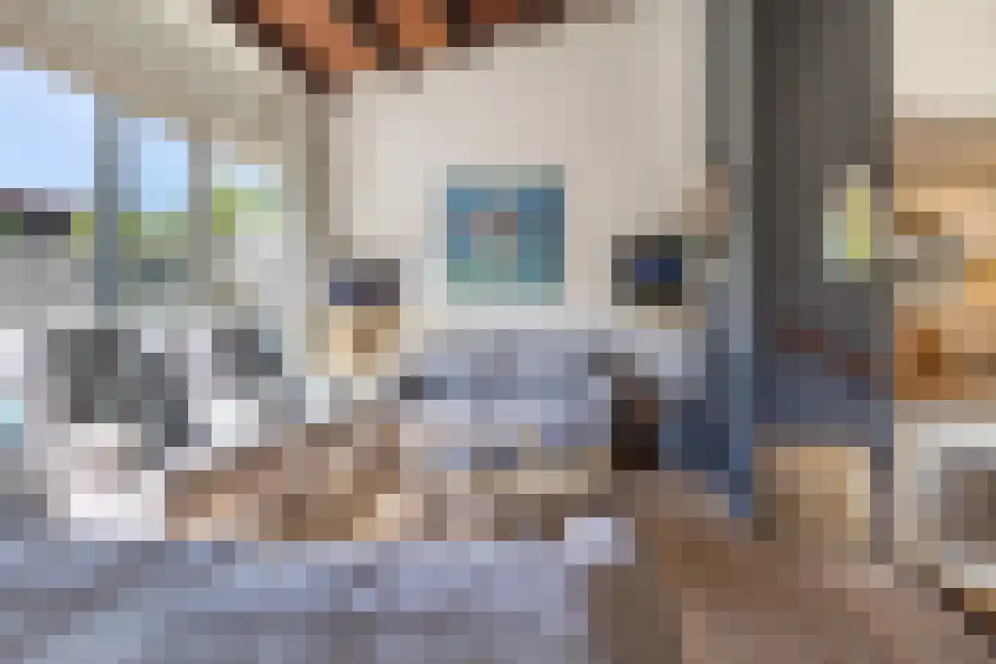 Lepelblad 93 Nieuwvliet thumbnail 8
