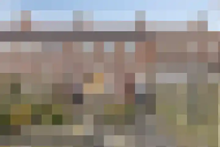 Lepelbladstraat 22 Arnhem thumbnail 12