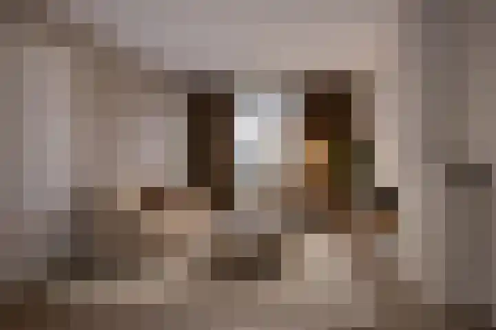 Lepelbladstraat 22 Arnhem thumbnail 5