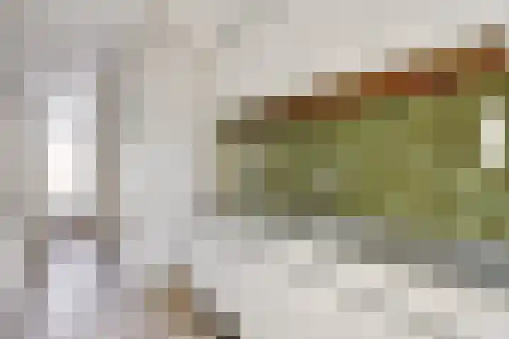 Lepelbladstraat 23 Wormer thumbnail 14