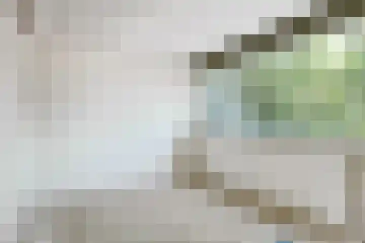 Lepelbladstraat 23 Wormer thumbnail 16