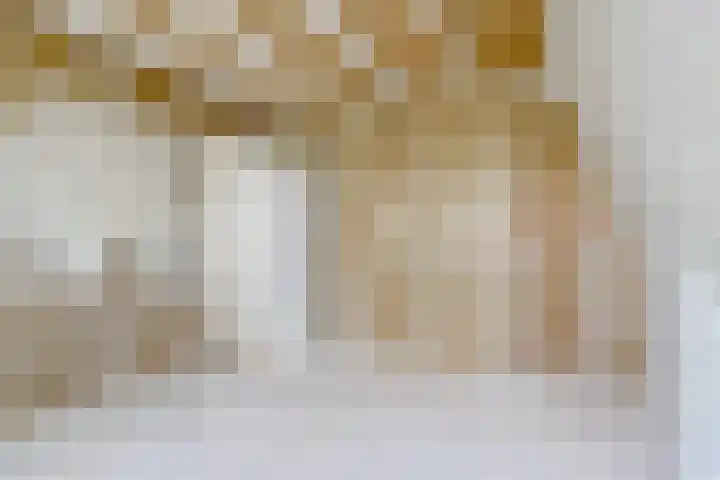 Lepelbladstraat 23 Wormer thumbnail 28