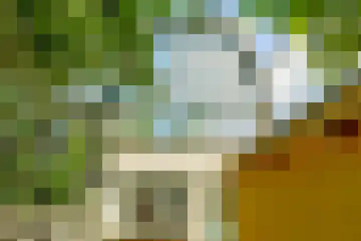 Lepelbladstraat 23 Wormer thumbnail 31