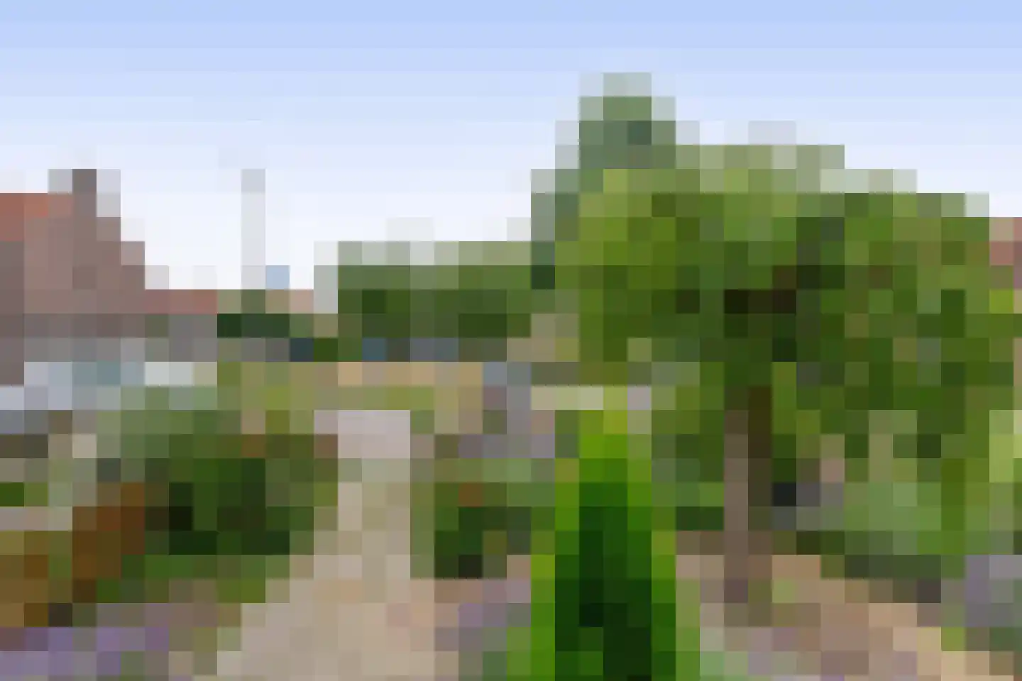 Lepelbladstraat 24 Arnhem thumbnail 22