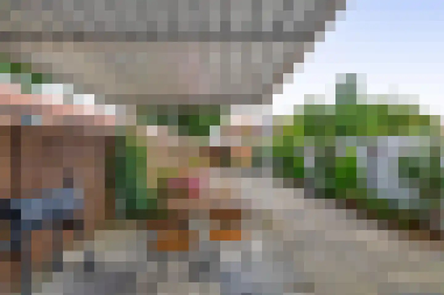 Lepelbladstraat 24 Arnhem thumbnail 25