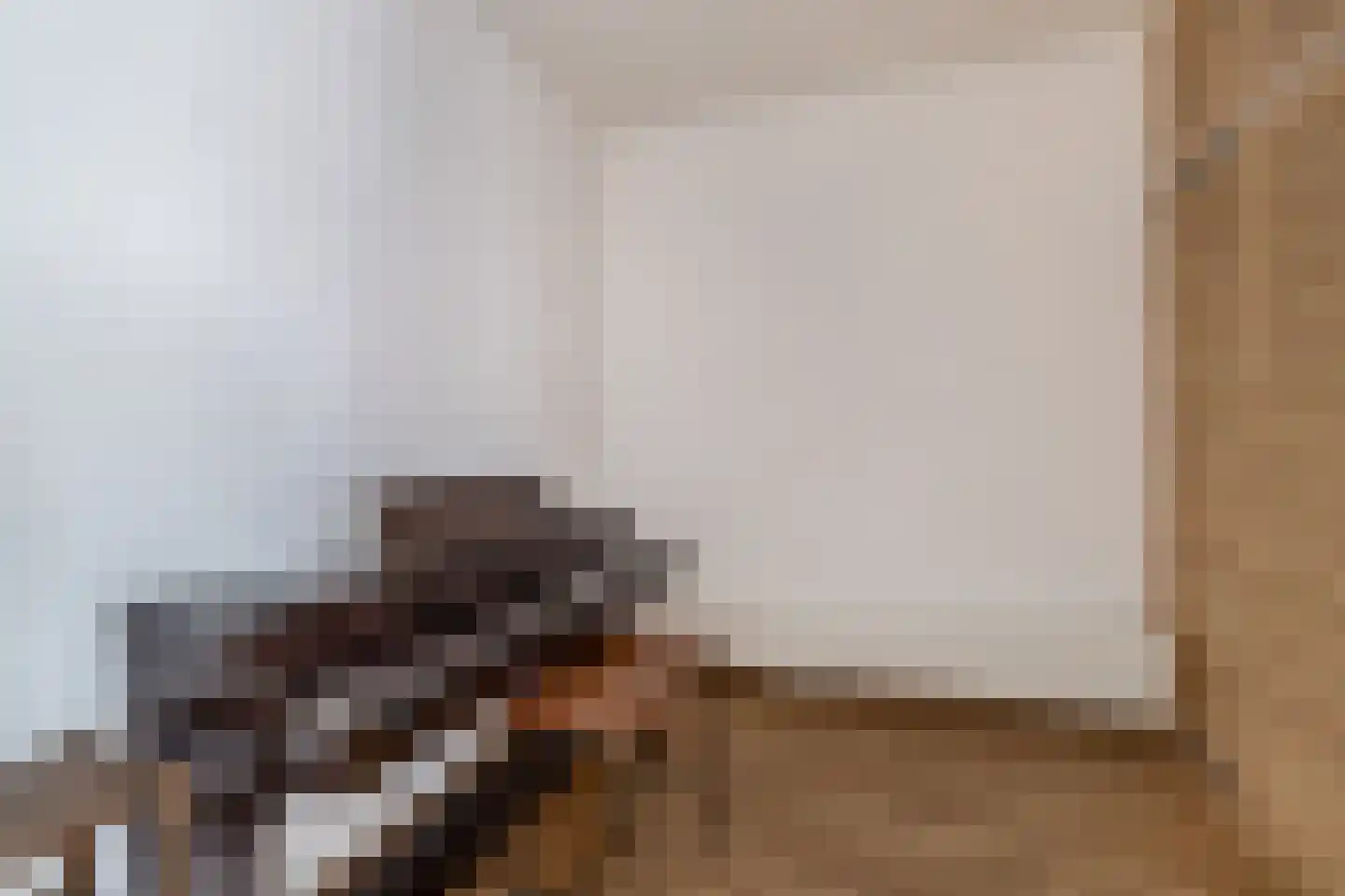 Lepelbladstraat 24 Arnhem thumbnail 5
