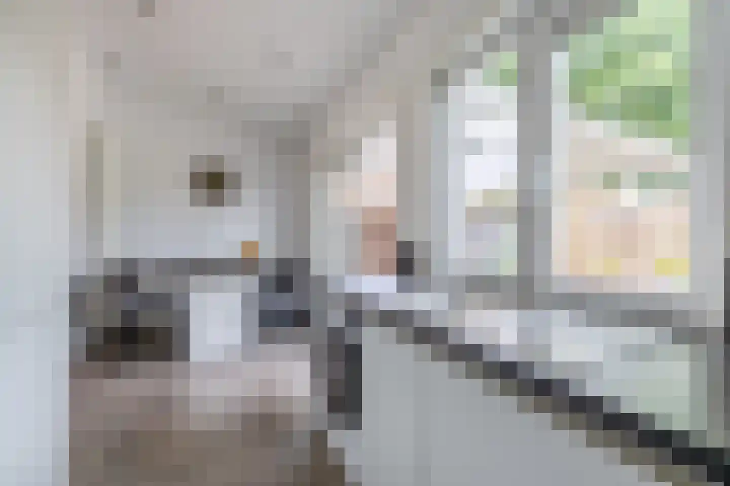 Lepelbladstraat 24 Arnhem thumbnail 7