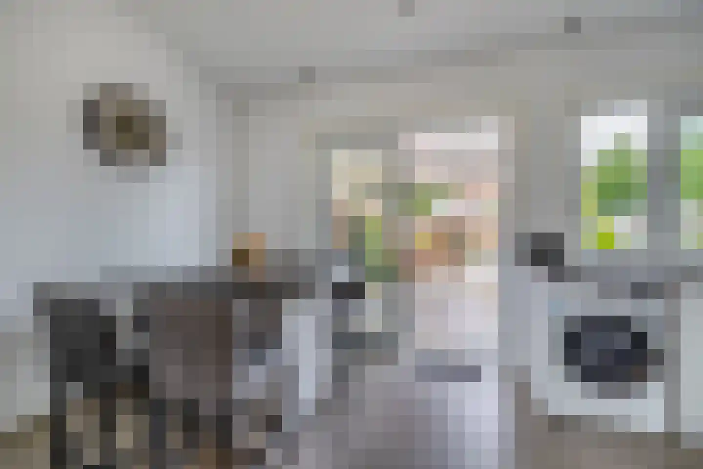 Lepelbladstraat 24 Arnhem thumbnail 8