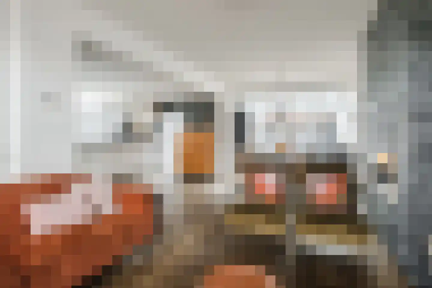 Lepelkesweg 16 Veldhoven thumbnail 11