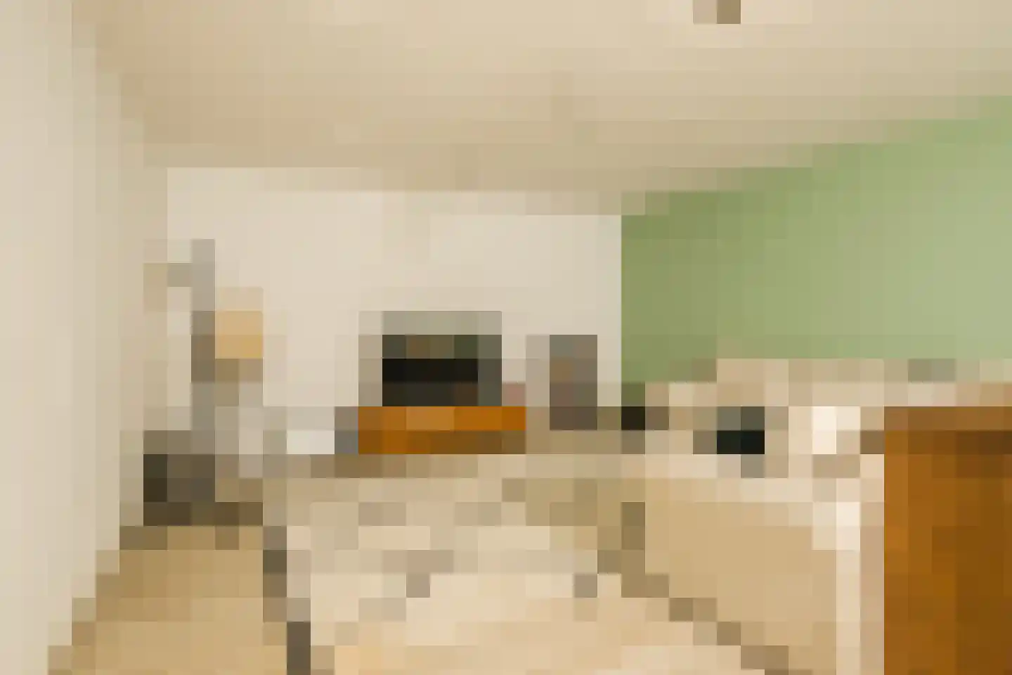 Lepelkesweg 16 Veldhoven thumbnail 37