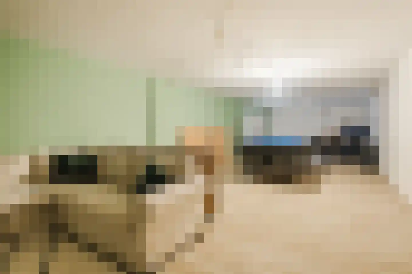 Lepelkesweg 16 Veldhoven thumbnail 38