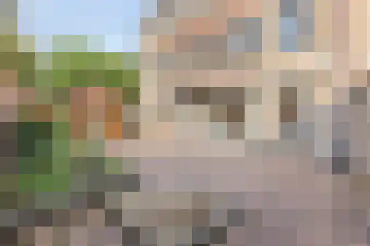 Lepelkesweg 24 A Veldhoven thumbnail 18
