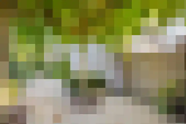 Lepelkesweg 24 A Veldhoven thumbnail 19