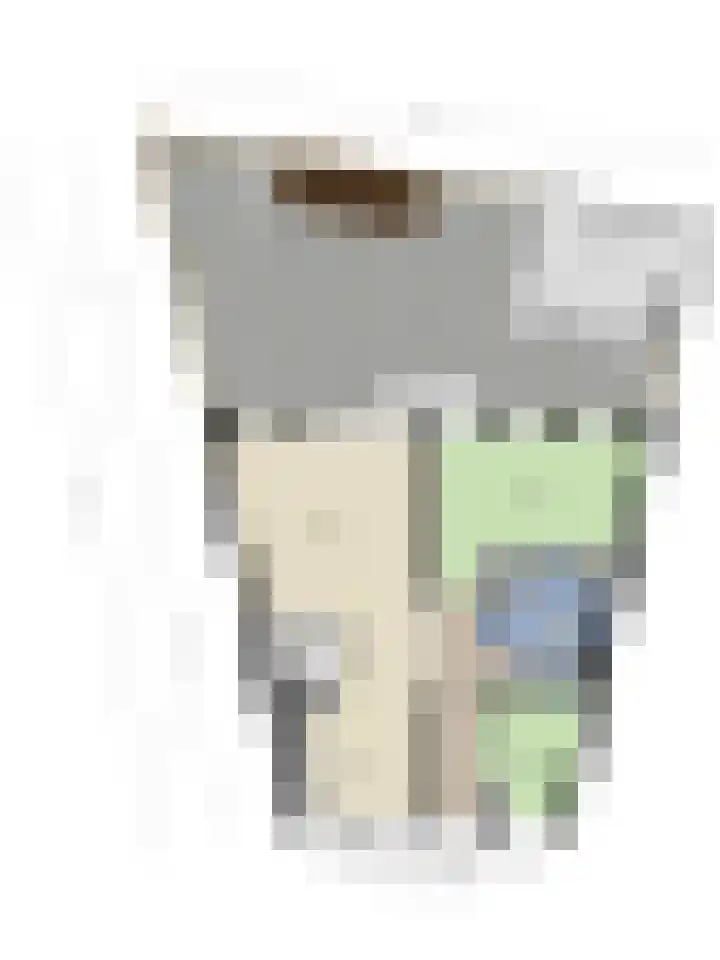 Lepelkesweg 24 A Veldhoven thumbnail 25