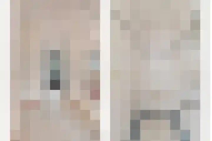 Lepelkesweg 24 A Veldhoven thumbnail 5