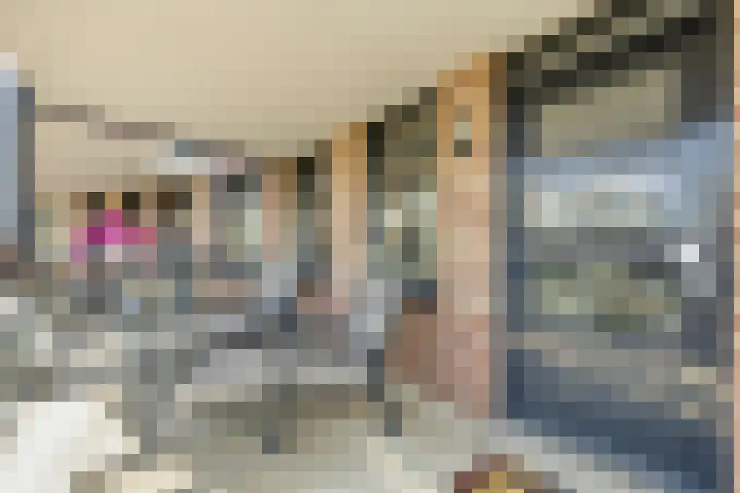 Lepelkesweg 26 A Veldhoven thumbnail 20