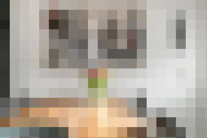 Lepelkesweg 26 F Veldhoven thumbnail 13