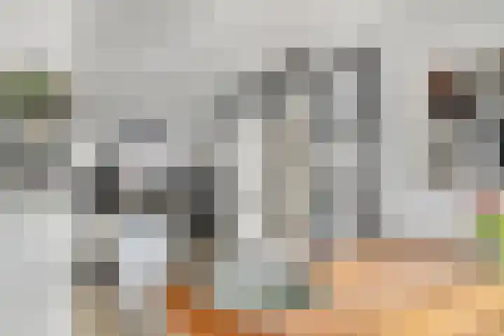 Lepelkesweg 26 F Veldhoven thumbnail 14