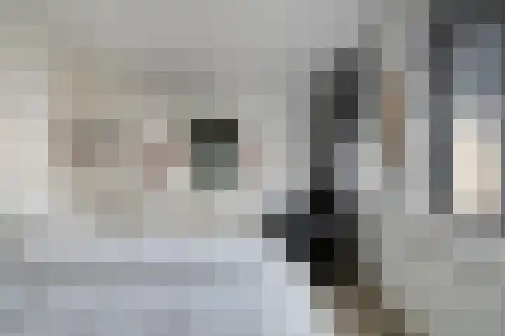 Lepelkesweg 26 F Veldhoven thumbnail 22