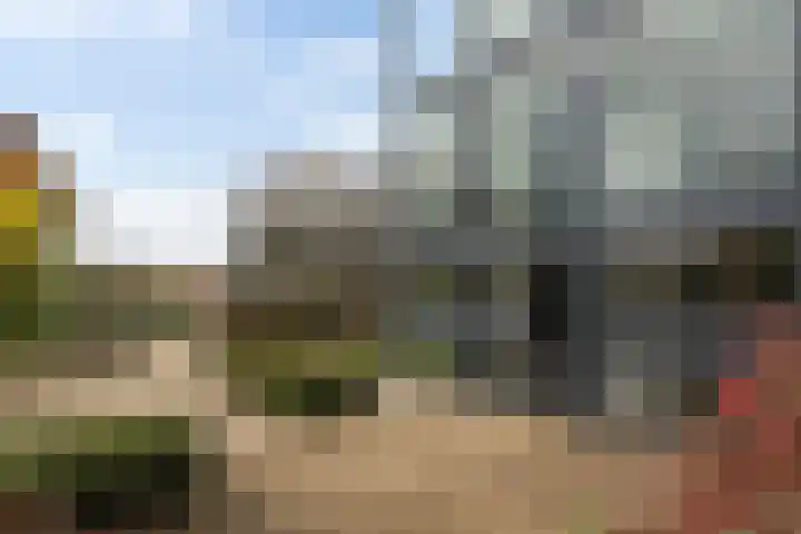 Lepelkesweg 26 F Veldhoven thumbnail 28