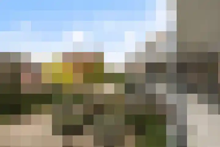 Lepelkesweg 26 F Veldhoven thumbnail 29