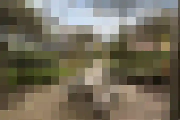 Lepelkesweg 26 F Veldhoven thumbnail 30