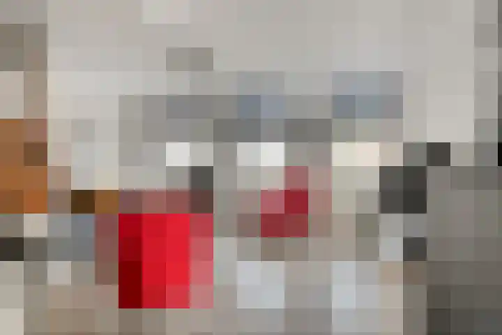 Lepelkesweg 26 F Veldhoven thumbnail 6