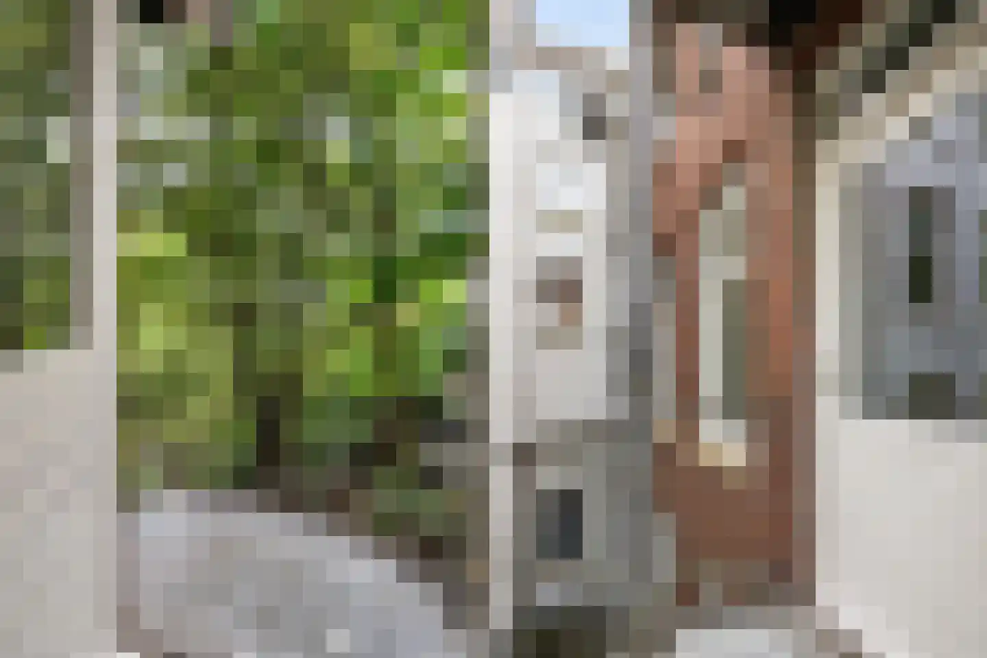 Lepelkruisstraat 11 2 Amsterdam thumbnail 19