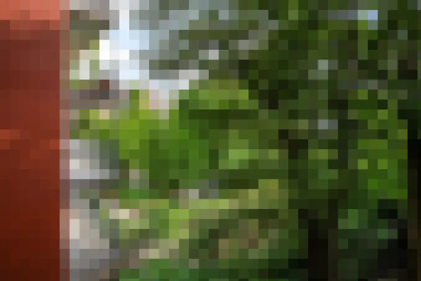 Lepelkruisstraat 11 2 Amsterdam thumbnail 20