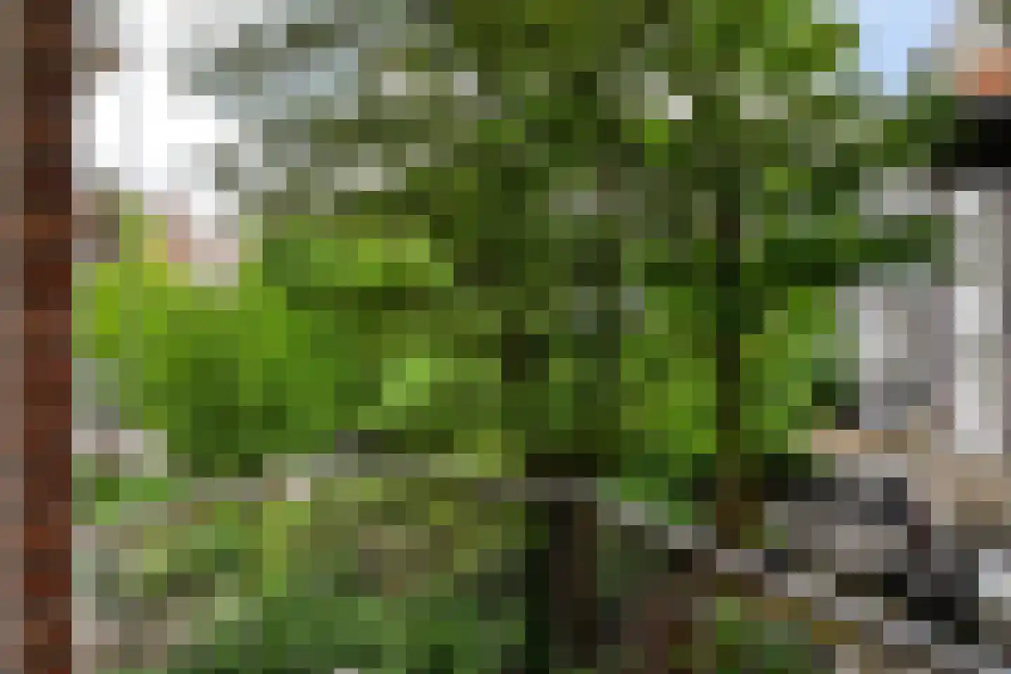 Lepelkruisstraat 11 2 Amsterdam thumbnail 5
