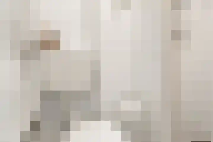 Lepelkruisstraat 11 3 Amsterdam thumbnail 13