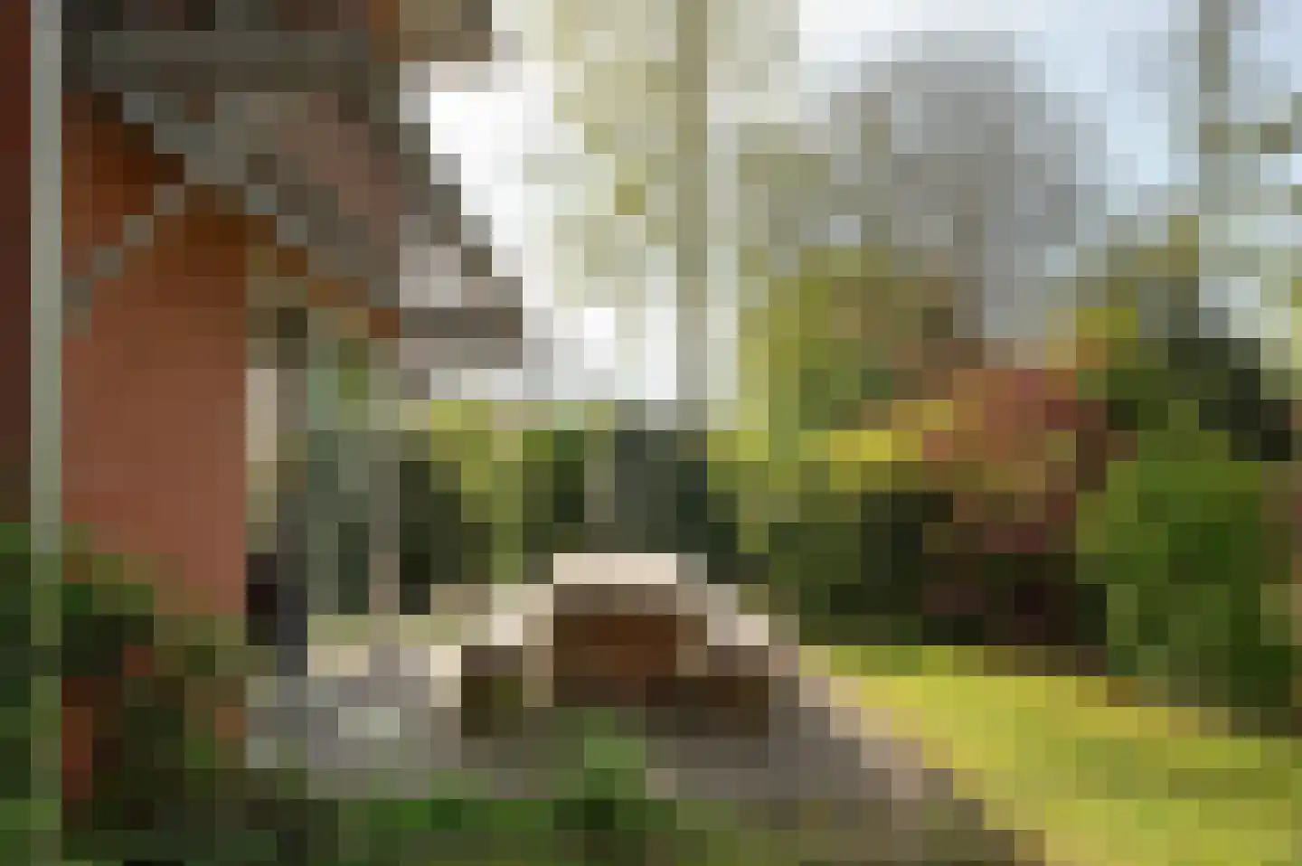 Lepelstraat 11 Achtmaal thumbnail 29